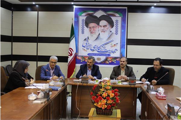 پروژهای  فیبر نوری  روستایی در استان چهارمحال و بختیاری با جدیت دنبال در حال اجراست