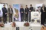 تأکید بر توسعه مهارت‌های دیجیتال دانش‌آموزان کرمانشاهی با اجرای طرح ملی ایران دیجیتال