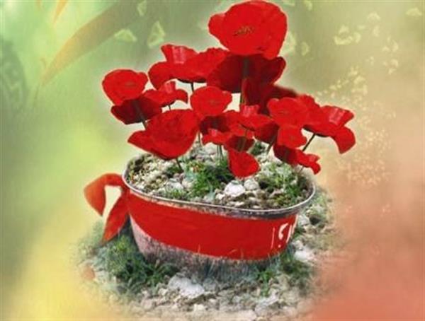 مصاحبه با مدیر کل ارتباطات و فناوری اطلاعات استان چهارمحال و بختیاری در خصوص برگزاری کنگره 2400 شهید استان