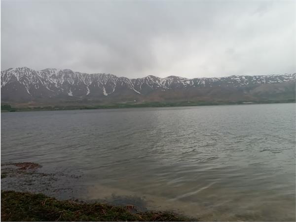 بروجن