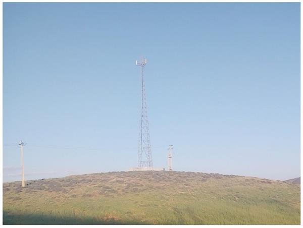 بنواستیکی