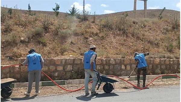 فیبر